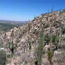 arizona from kells camera - IMG_3230